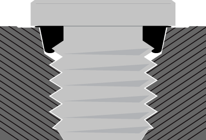 Competitor Plug cutaway image