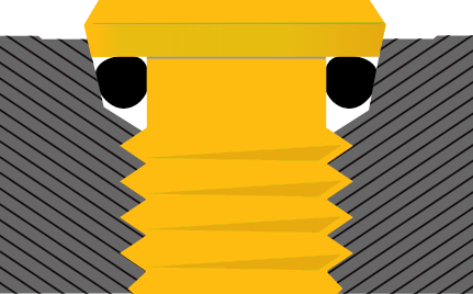 ZLG Banjo Plug Cut away image